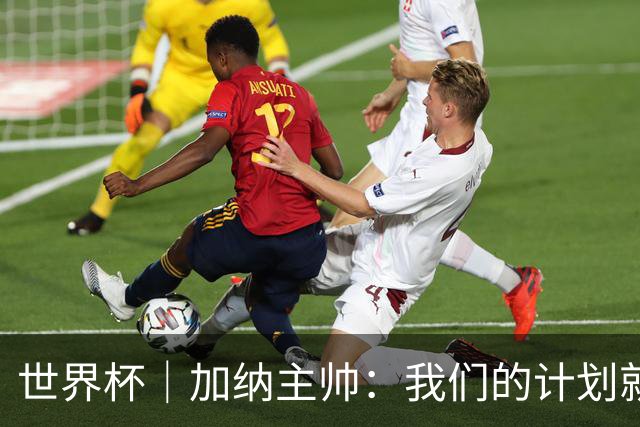 世界杯｜加纳主帅：我们的计划就是让英格兰队受挫
