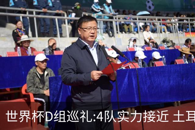 世界杯D组巡礼:4队实力接近 土耳其迎新黄金一代