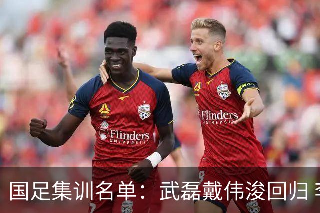 国足集训名单：武磊戴伟浚回归 李昊首次入围